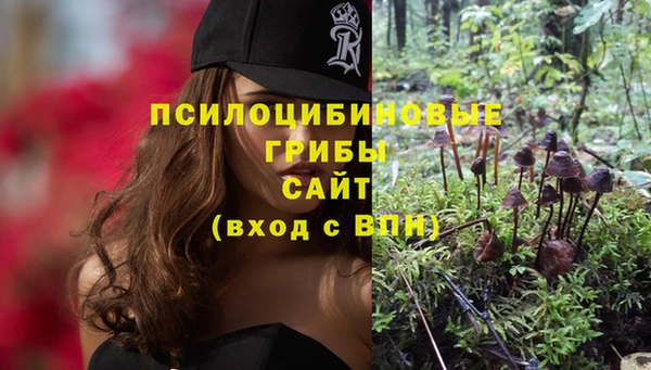 СК Армянск