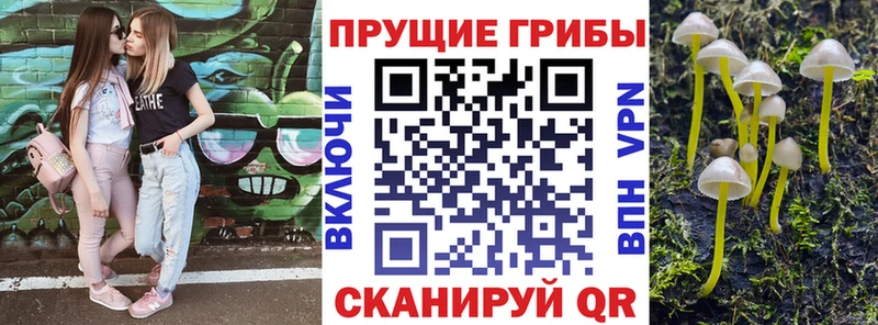 сайты даркнета клад Кольчугино Псилоцибиновые грибы GOLDEN TEACHER